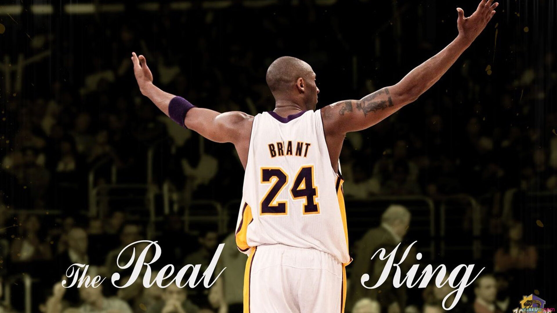 球迷自制“最美助威团”比赛引热议，球迷助威歌